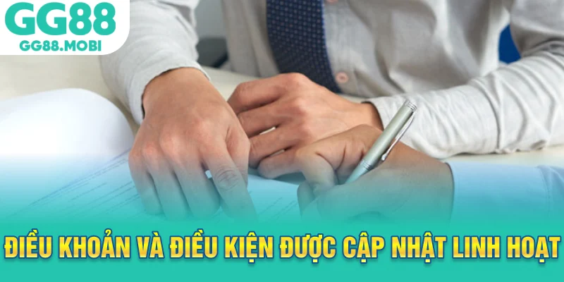 Điều khoản và điều kiện được cập nhật linh hoạt
